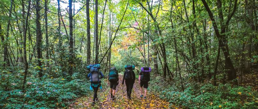 students hiking together down a trail.