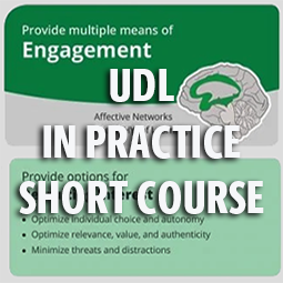 UDL in Practice Short Course