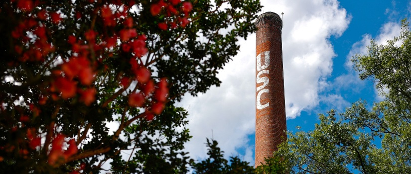 Flowering tree with the USC smokestack in background