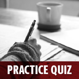 Practice Quiz Icon