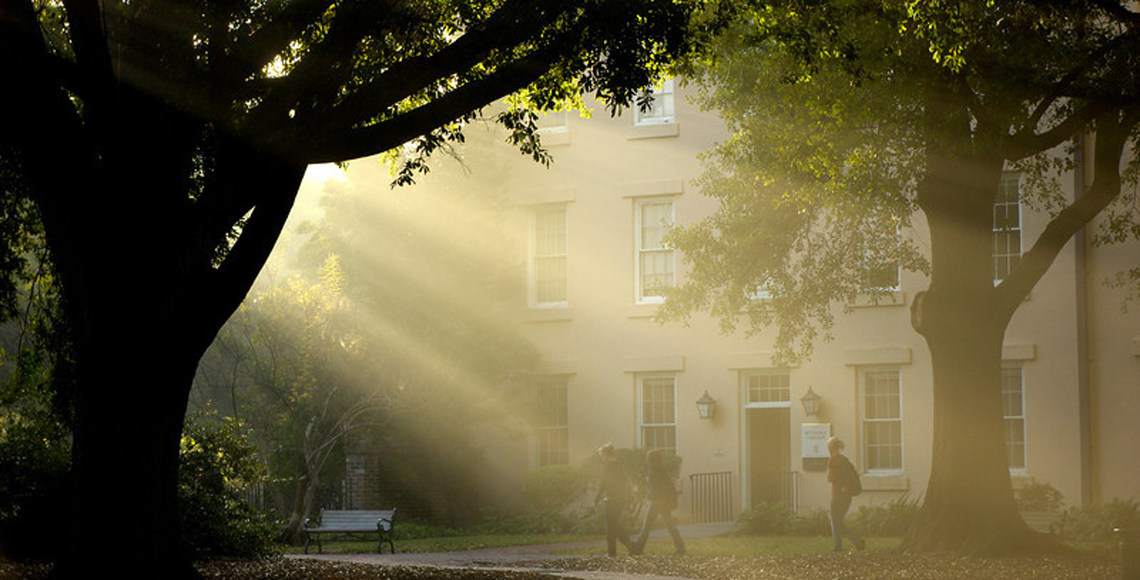 light shining through trees on horseshoe