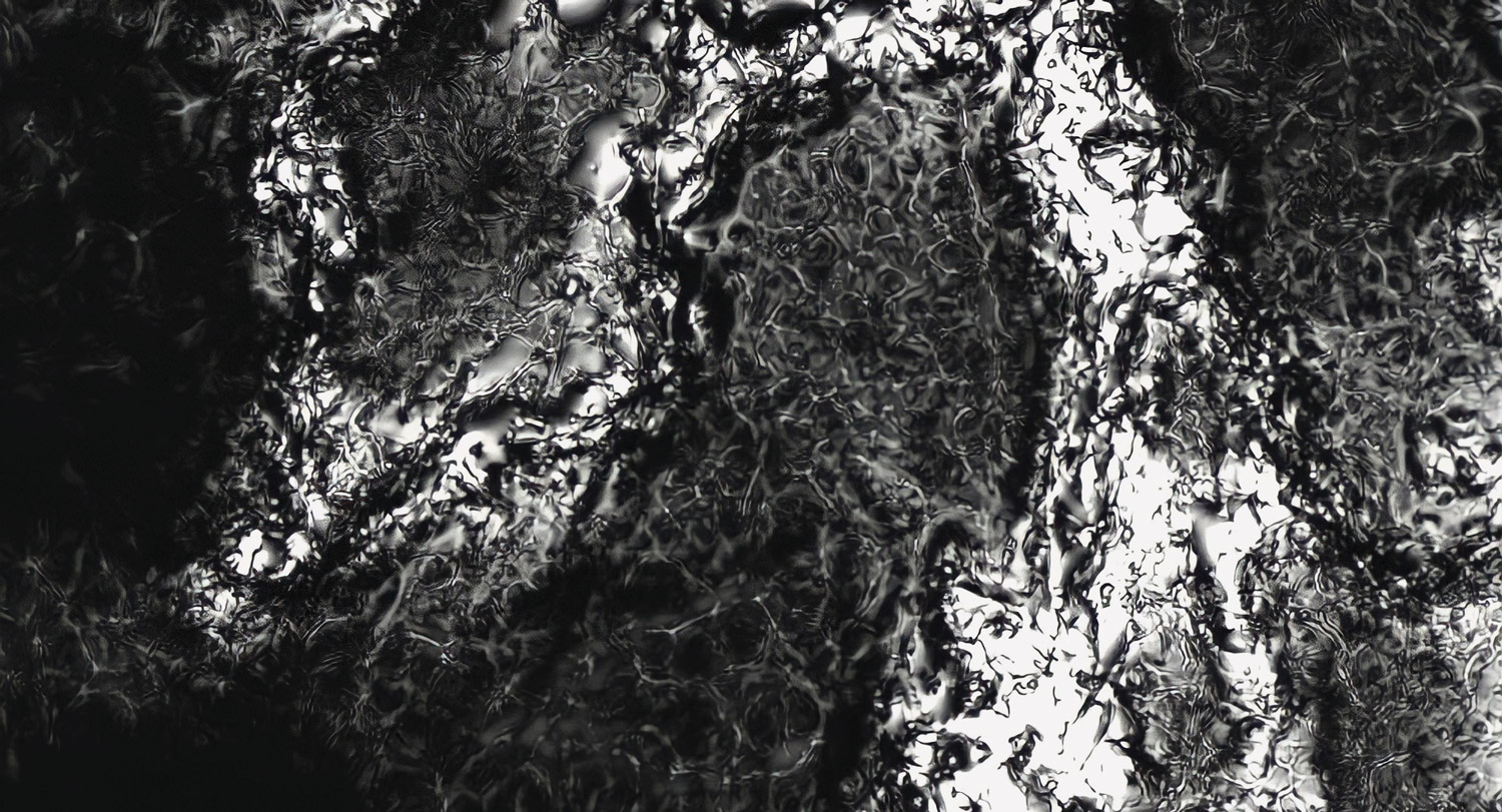 A microscopic image of fungus.