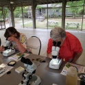 Visitors looking through microscopes
