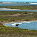 Belle W. Baruch Institute for Coastal and Marine Research