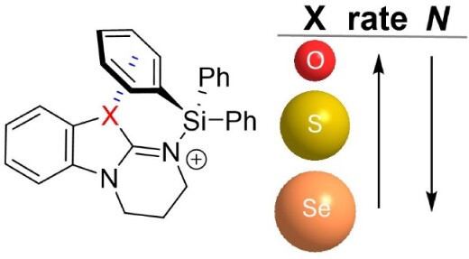 From Lone Pairs to Power Players: How Non-Nucleophilic Lone Pairs Can Control the Nucleophilicity of a Catalyst