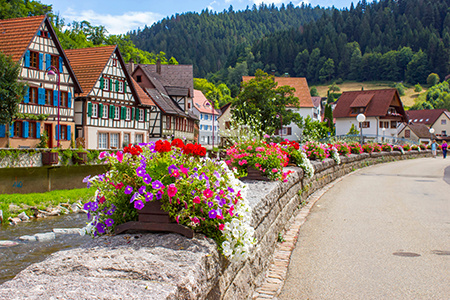 A student in Germany overlooking a river from a bridge