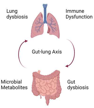 Project Four Diagram