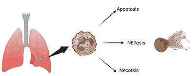 Project Three Diagram