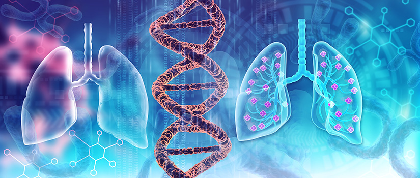 Stock Image of Lungs and DNA