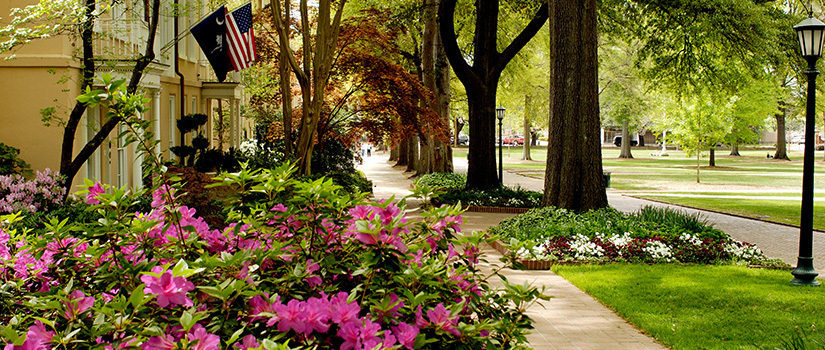 University of South Carolina horseshoe park