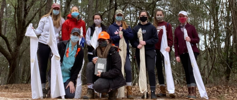 SC Tick Collection Crew